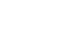 gds-white-logo