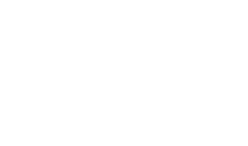 dfe-logo white